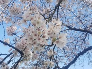 いしかわ縁結びイベントで出会った方と結婚しました！