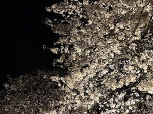 「縁結びist」さんが結びつけてくれた運命のご縁！