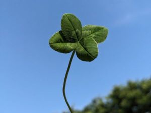 縁結びistさんには感謝の気持ちでいっぱいです！